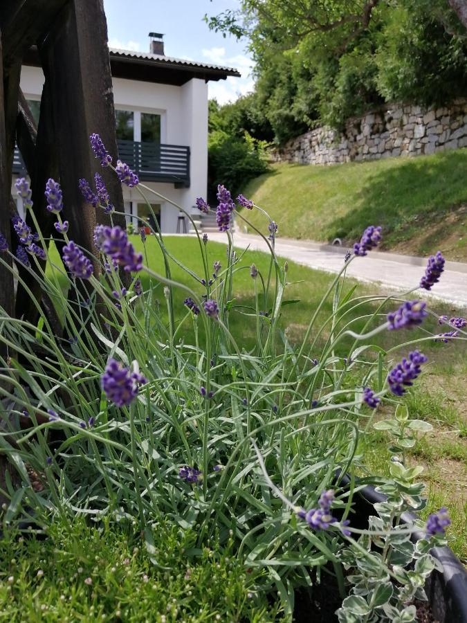 Hillside Rooms Pörtschach am Wörthersee 外观 照片